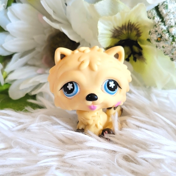 Littlest Pet Shop LPS #662 Chow Chow Dog Blonde Cream Blue Eyes Pink Flower - Picture 1 of 10